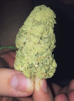 that-fucking-stoner:  -