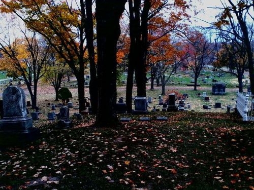 chaosandblueeyes:Boxwood Cemetery, Medina adult photos