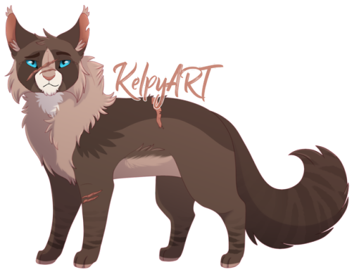 Hawkfrost ;w; I really like how he turned out Follow me on Deviantart!
