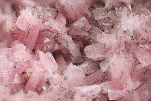 bijoux-et-mineraux:Rhodonite with Pyrite and Sphalerite - San Martin Mine, Chiurucu, Huallanca, Anca