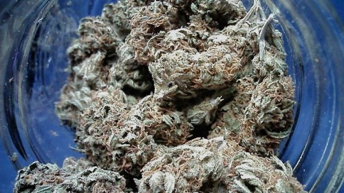 keefinupwiththejoneses:Homegrown heaven in a jar