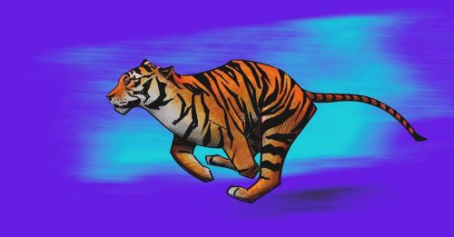 Trying to experiment with color more#tiger #run #sprint #tigerart #animal #animalart #illustrati