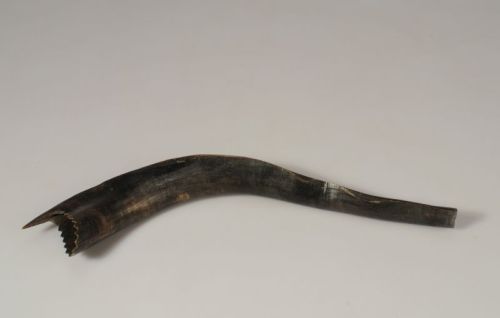 Shofars:Germany, 18th century. Inscribed in Hebrew on both sides: “When Abraham looked up, his eye f