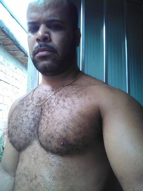 BearHub adult photos