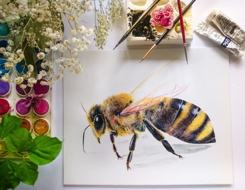 I really love painting bees, painting anything really but one other thing I love about painting is t