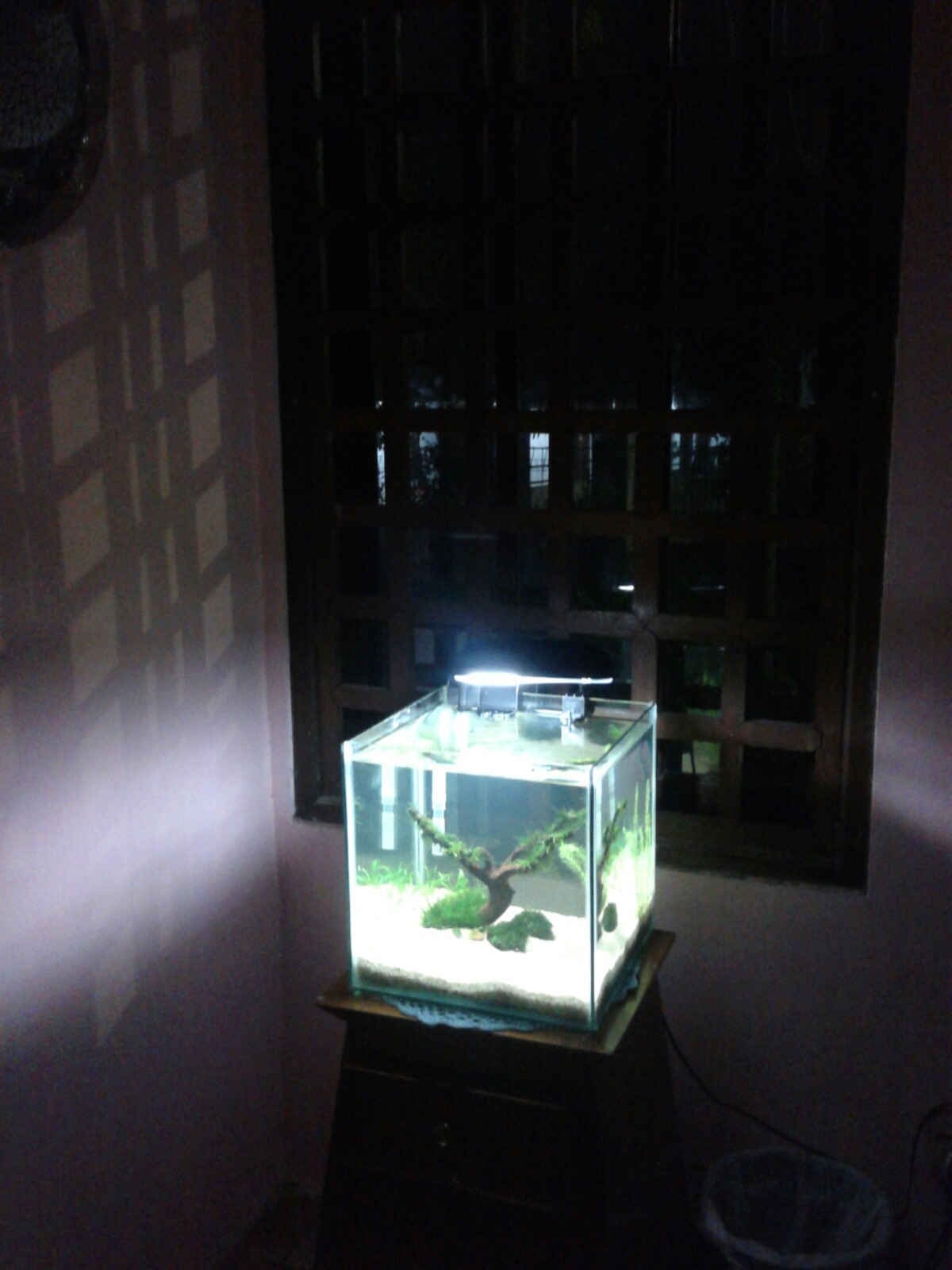 Aquarium ukuran 30x30x30