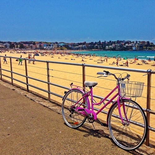 instabicycle:  Via @taste_for_travel: The #gorgeous #BondiBeach with the #perfect #pink #Bicycle to 