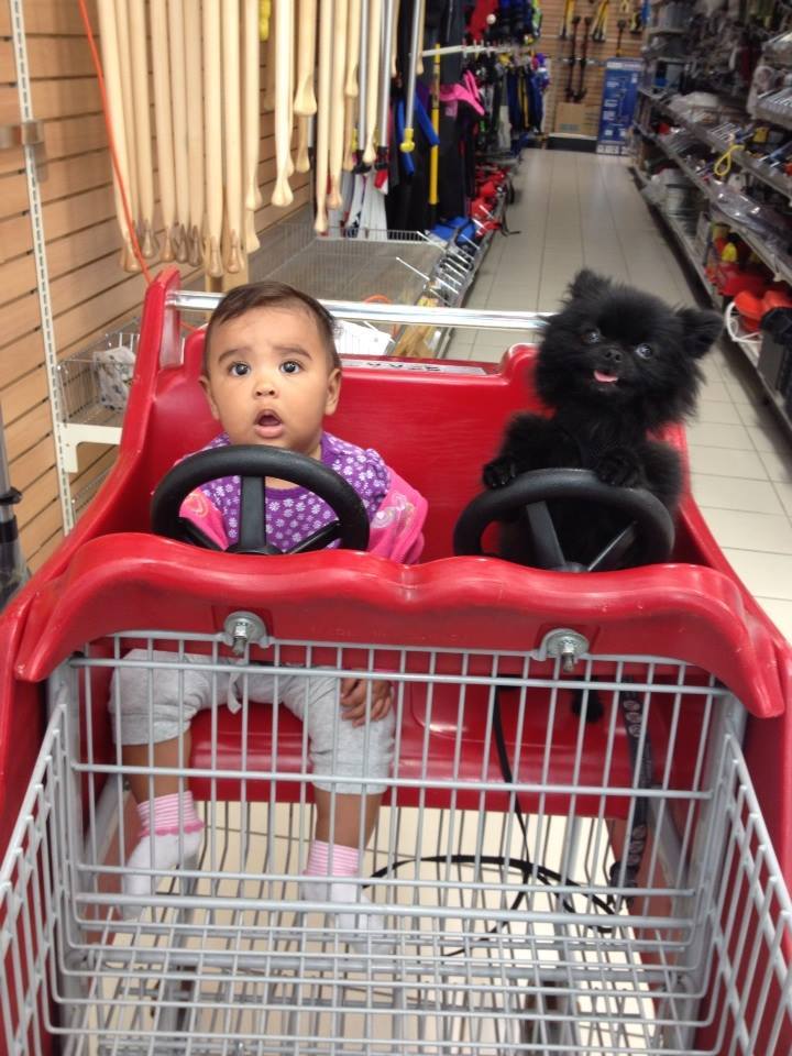 awwww-cute:  these two just crack me up 