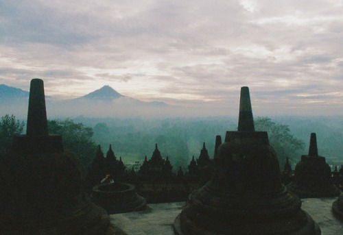 Borobudur II - Kodak Portra 800, Minolta Dynax 5000i - Yogyakarta, Indonesia - February 2018