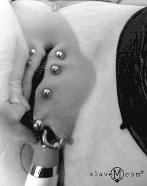 sydney-sadist:  This is one of my favourite body modifications of all time. Very clever use of piercings. I’m going to do this to a sub sometime soon. 
