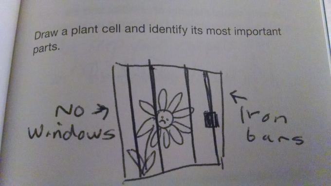 pleatedjeans:  18 Funny Test Answers