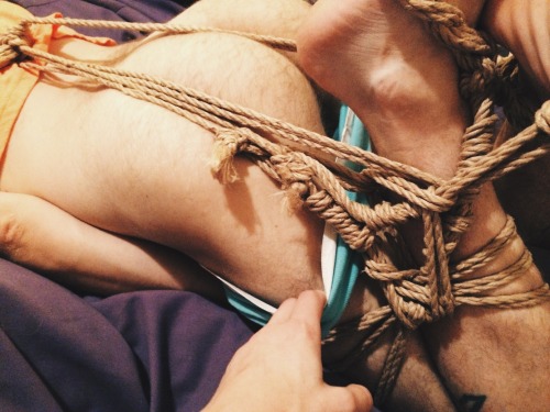 camdamage:  Rope practice cont’d: now with added cuttlefish and his adorableness (I made him untie himself a little at the end so what)  