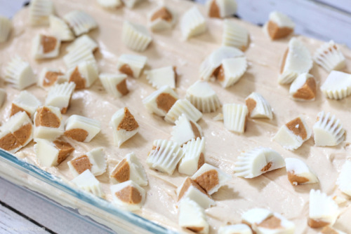 foodffs:  Oreo Peanut Butter DelightReally nice recipes. Every hour.Show me what you cooked!