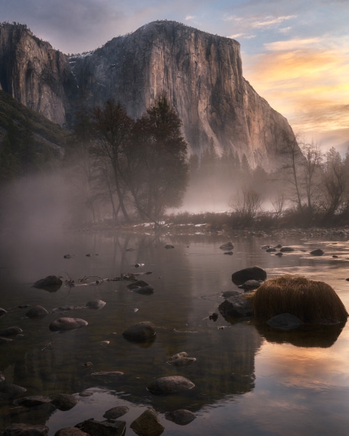  Early morning at Yosemite Valley meadow www.nealmcclure.com
