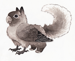alittlesophisticated: sharpington:  the littlest gryphon  SO CUTE AND FLUFFY IT LOOKS SO HAPPY AND PROUD 
