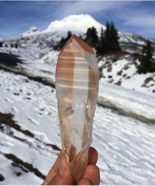 mineraliety: Lemurian Quartz straight chillin’ on the mountain with @enchantedcrystal ////////