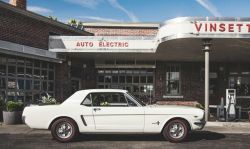 Ford Mustangs