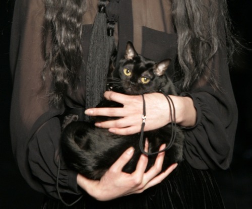 amadryades: huthor: Black kitty @ jpg fall 06 @feralmermaids People have this tendency to tag me on 