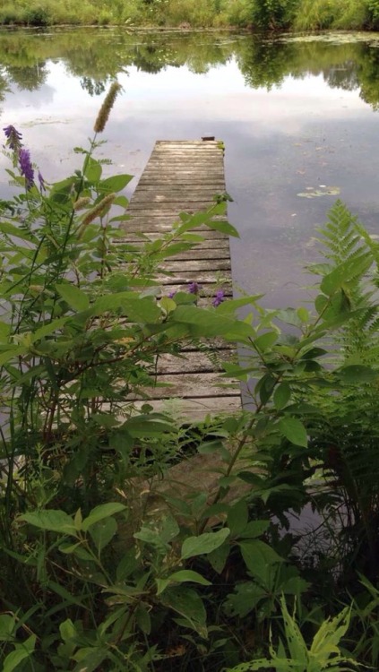 floralwaterwitch: A couple of the abandoned docks Instagram angelinnapit / floralsgifts.com