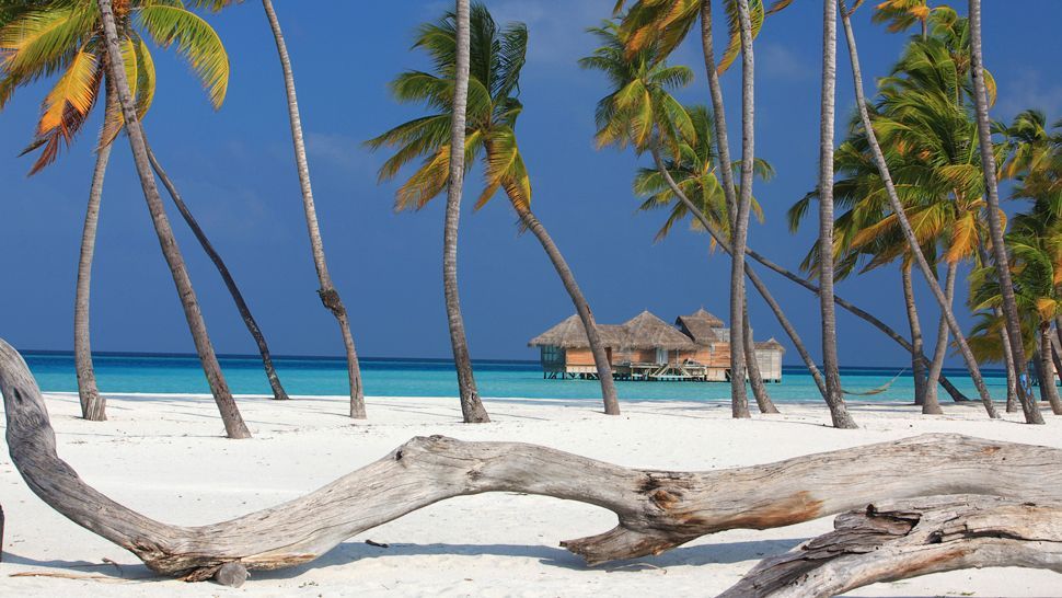 luxurytravelexpert:  #DailyInspiration: Gili Lankanfushi @GiliLankanfushi is one