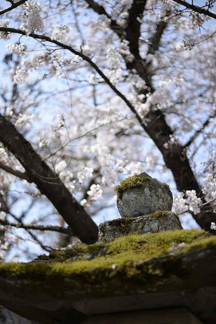 ileftmyheartintokyo:  20140419 Takayama 8 by BONGURI on Flickr.