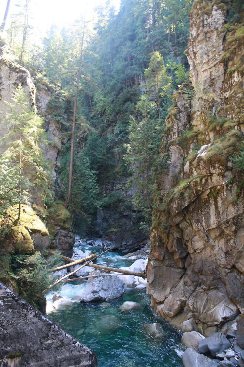 coquihalla canyon