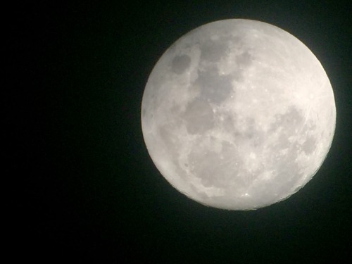 mutamur:The moon from the Amazon rainforest