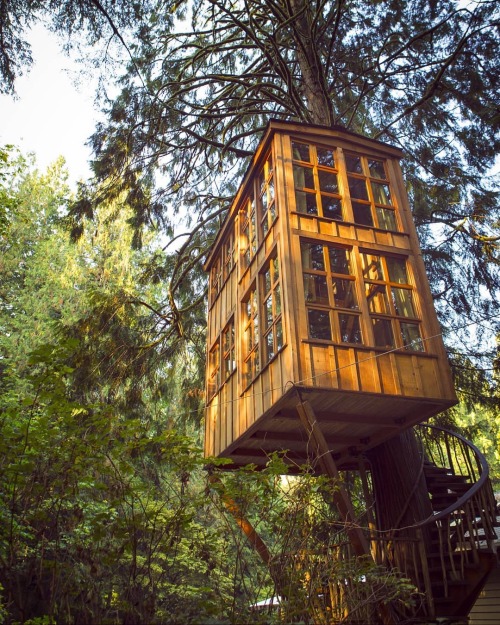 utwo: Treehouse © AC Images  