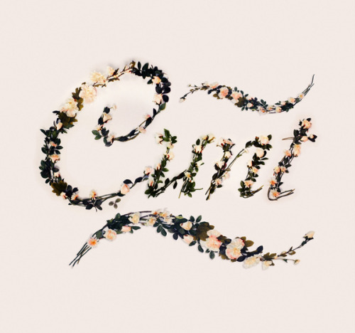 escapekit:Better With Flowers Brazilian illustrator and designer Antonio Rodrigues Jr has spelled out several offensive words with a custom typeface made of artificial flowers. Check out the the process on his Behance page. 