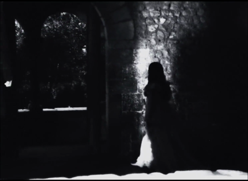 365filmsbyauroranocte