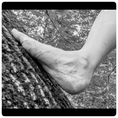 I love being barefoot in #nature. All the different surfaces and textures feel #amazing.#fun #thep