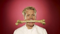 I-Aint-Bovvered-Deactivated2014:  Just In Case You Didn’t Notice: Gordon Ramsay