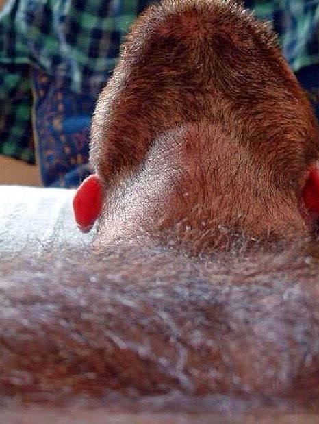 FURJACKED
