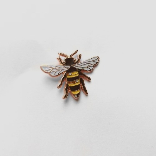 ohtroyes: bee nice   