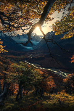banshy:  Autumn Sun in Patagonia by Max Rive