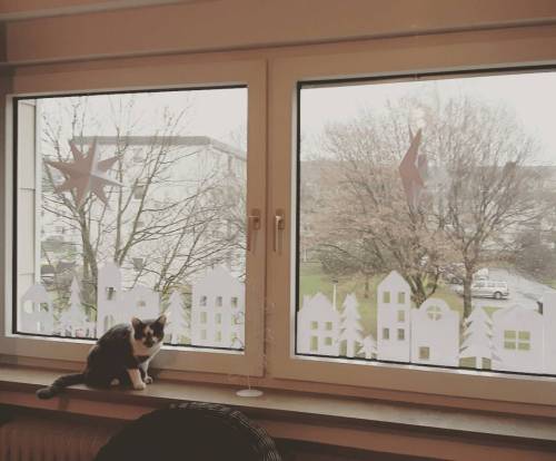 Fensterdeko ist fertig - der Winter darf dann auch kommen :) #fensterdeko #hausanhaus #eimfachedeko 