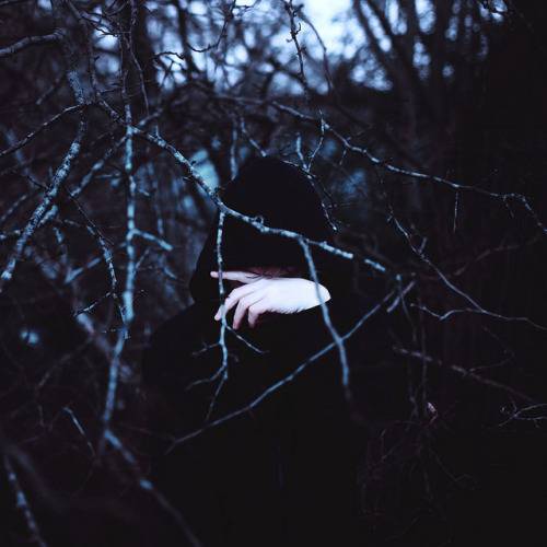 Consume (2014) by Seanen Middleton 