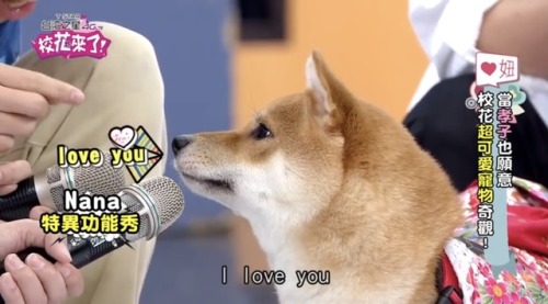 ghibli-gf: @1kuzon @soyeon @matcha4s