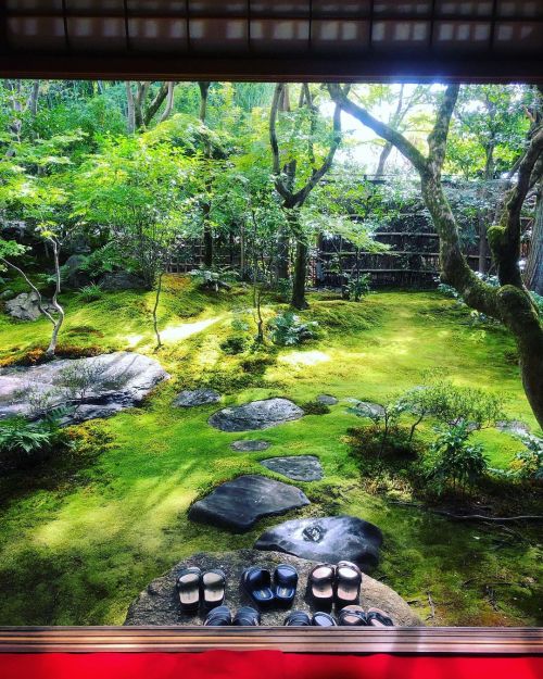 岡林院庭園 [ 京都市東山区 ] Kodaij-i Korinin Temple Garden, Kyoto の写真・記事を更新しました。 ーーこの秋に初の特別拝観2021年秋、京都で見るべき 美しい