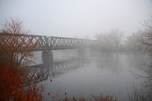 Foggy Morning Stroll by junglejims photos on Flickr.