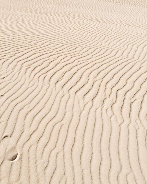 There is no real ending. P: @mateiak #frachella #team #fuerteventura #canaryislands #island #desert