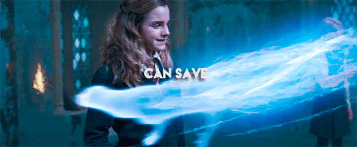 ravnclaws:                 — 	Marissa Meyer, Fairest 