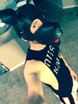 theblupup:  Welcome a new pup in town! Pup Aroo!!! 