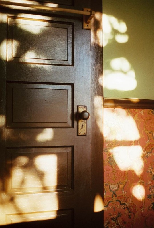 great-and-small:a-sadnoodle:I cannot express how much I adore dappled shadows formed by sunlight in paintings and photography and in real lifeI also adore how this pattern has manifested itself in the form of camouflage for some speciesThe echo of those