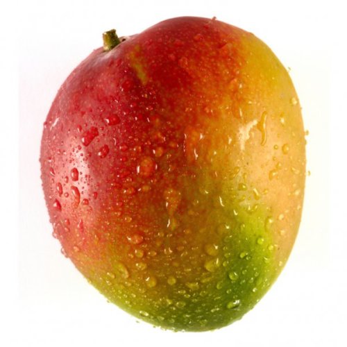 expectopatronuts: polyyglott: There are only two genders Mango or ñorda (@expectopatronuts) b