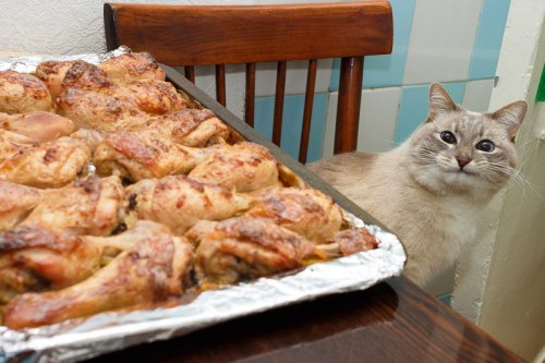 kaible: s-purple: Current mood.  russian food cat is one of the few things I want to exist on t