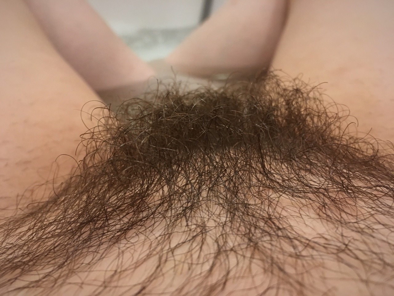 Dirty Hairy
