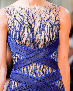 propisces:  Zuhair Murad - Fall Winter 2013 2014   Details 