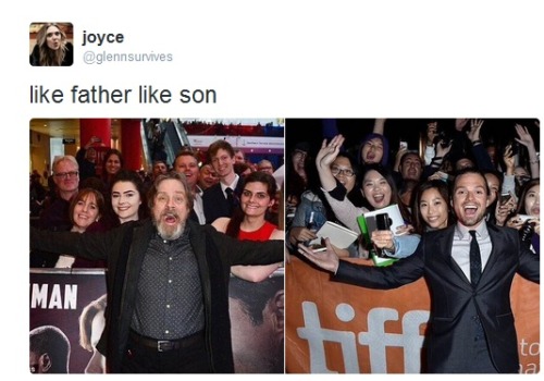 phdna: random-windstorm: x That moment when Luke Skywalker is a Sebastian Stan fanboy