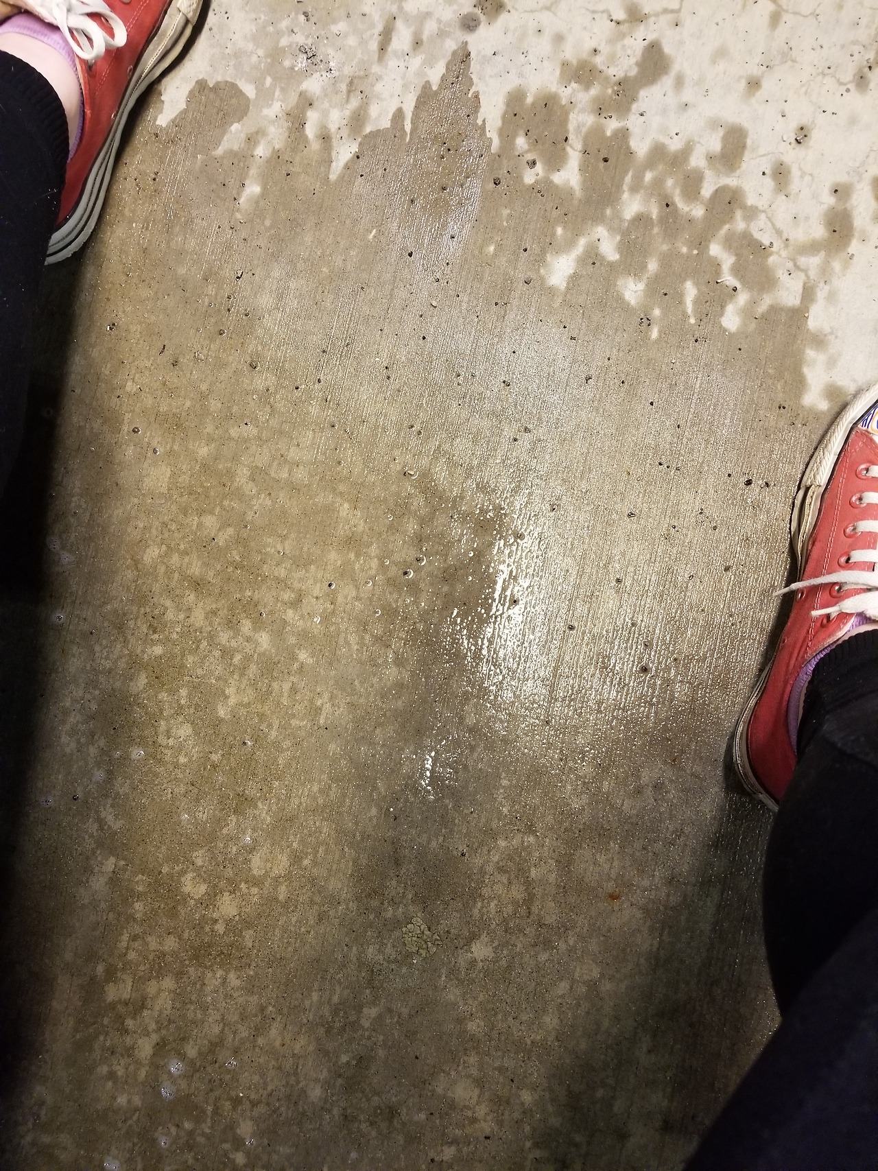 wetlittleme:I made a mess in an airport parking lot…